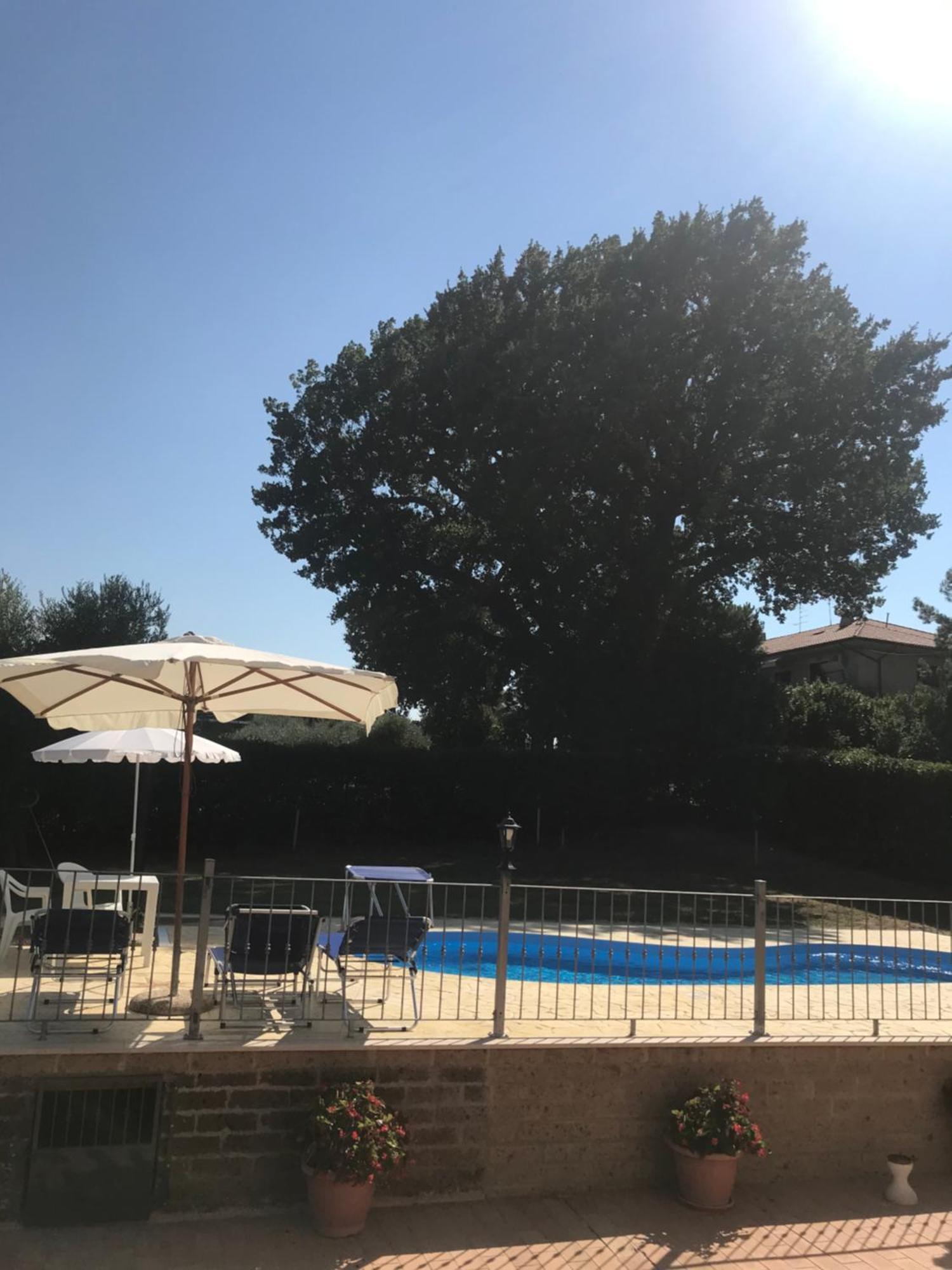 Agriturismo Cerquatonda Montalto delle Marche エクステリア 写真