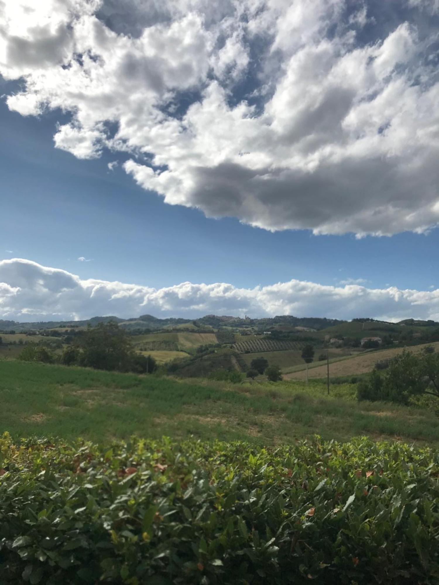 Agriturismo Cerquatonda Montalto delle Marche エクステリア 写真