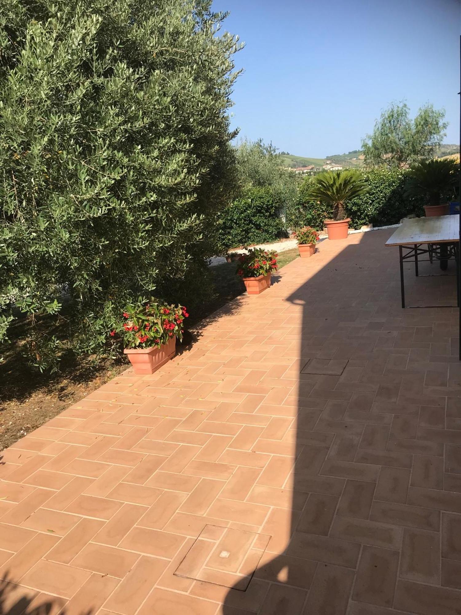 Agriturismo Cerquatonda Montalto delle Marche エクステリア 写真