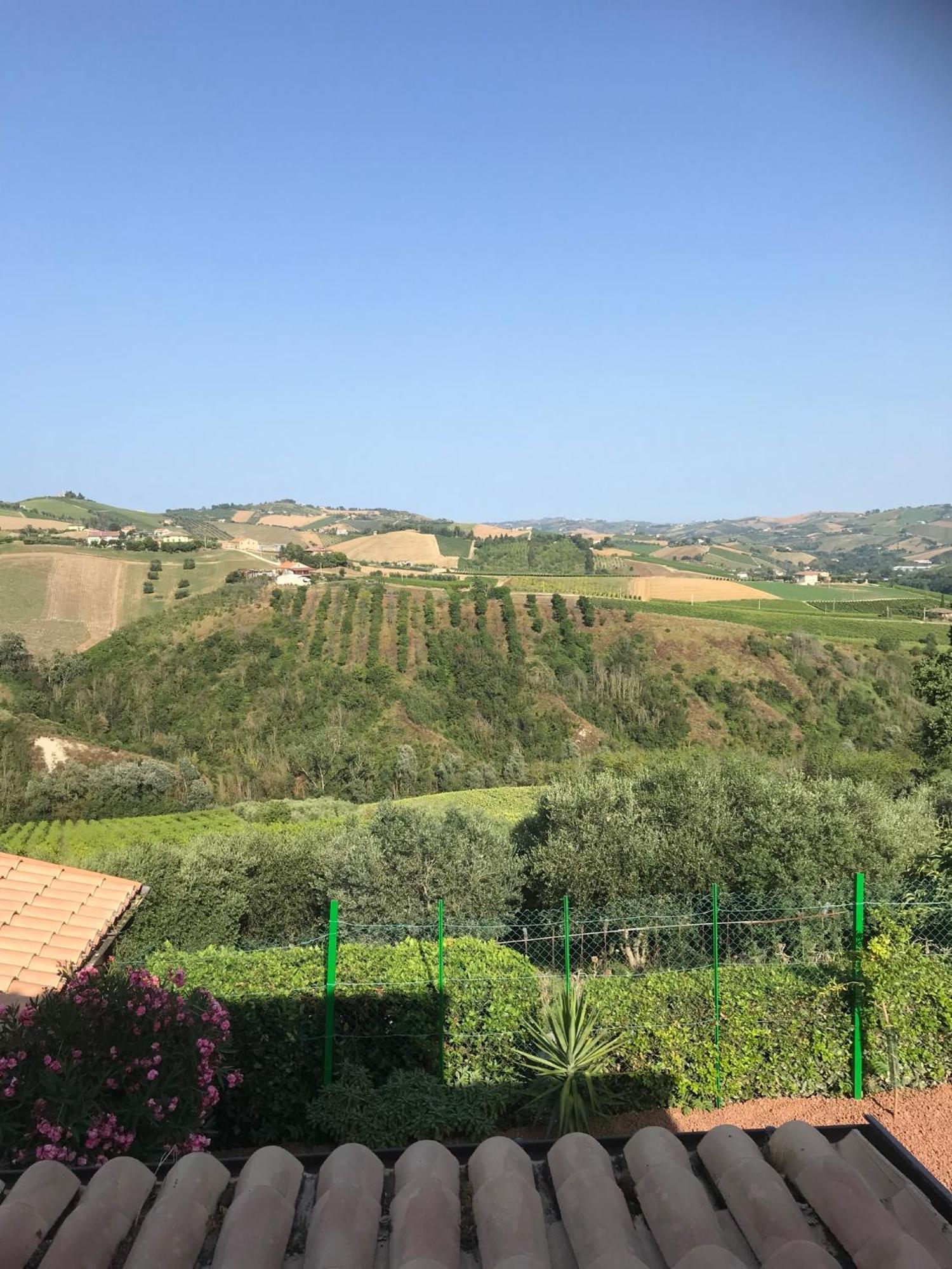 Agriturismo Cerquatonda Montalto delle Marche エクステリア 写真