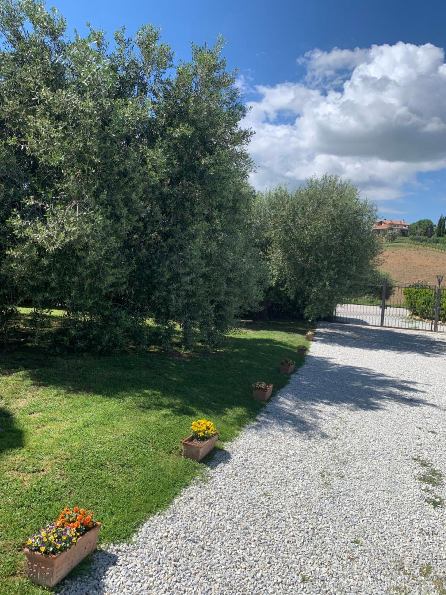 Agriturismo Cerquatonda Montalto delle Marche エクステリア 写真